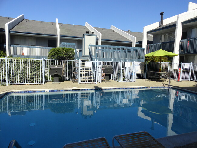 Pool - 1124 Eureka St