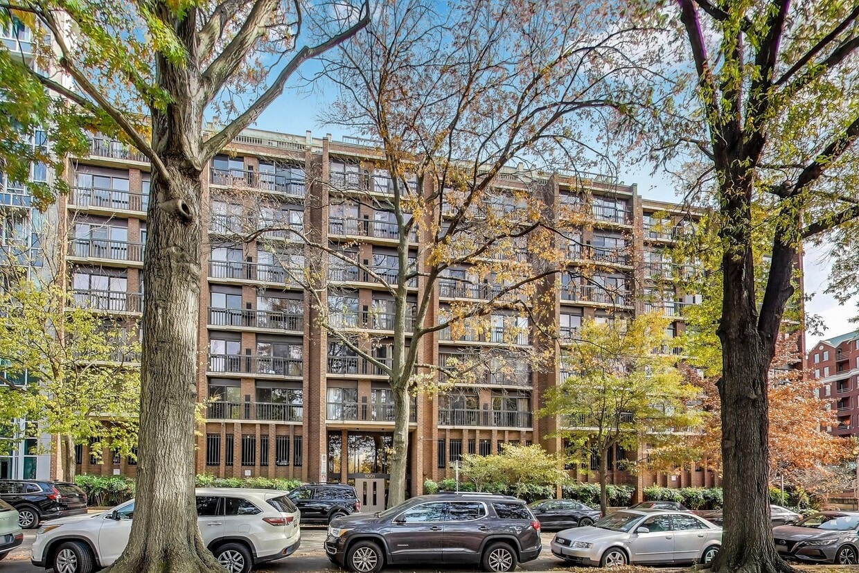 Large Foggy Bottom Beauty - 1+Den + 1 FB - Large Foggy Bottom Beauty - 1+Den + 1 FB