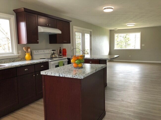 Kitchen/Living Room - 1020 Danby Rd