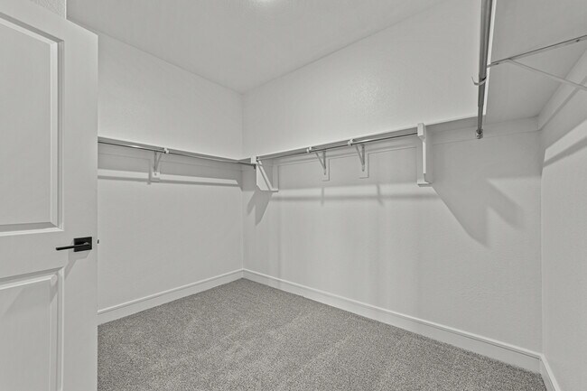 Building Photo - 512 Sunflower Trl