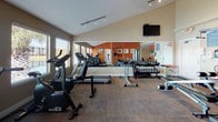 This fitness center is designed to support a comprehensive workout experience within a single open floor plan. The space is defined by bold orange accent walls paired with neutral beige tones, creating an energetic yet functional atmosphere. Durable carpet tile flooring covers the entire area, providing traction and cushioning underfoot throughout all exercise zones.

The cardio section lines the windowed wall, which features multiple large windows fitted with horizontal blinds. These windows offer views of an outdoor waterfront setting and allow generous natural light to fill the space. Cardio equipment includes treadmills, elliptical trainers, and a stationary bike, with a wall-mounted flat-screen television positioned for visibility during workouts.

A full-wall mirror along one side visually expands the space and allows users to monitor their form. The strength training area is well-appointed with a multi-station cable machine, weight benches, a preacher curl station, and a dumbbell rack holding a comprehensive range of free weights. Additional accessories such as a stability ball and a vertical knee raise station are also present.

Track lighting is mounted on the ceiling throughout, supplemented by a ceiling fan fixture, ensuring consistent illumination. The overall layout is open and efficiently organized to accommodate a variety of training styles simultaneously.