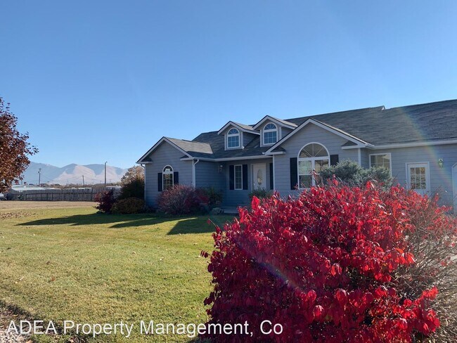Building Photo - 4 br, 3 bath House - 4721 Lois Lane