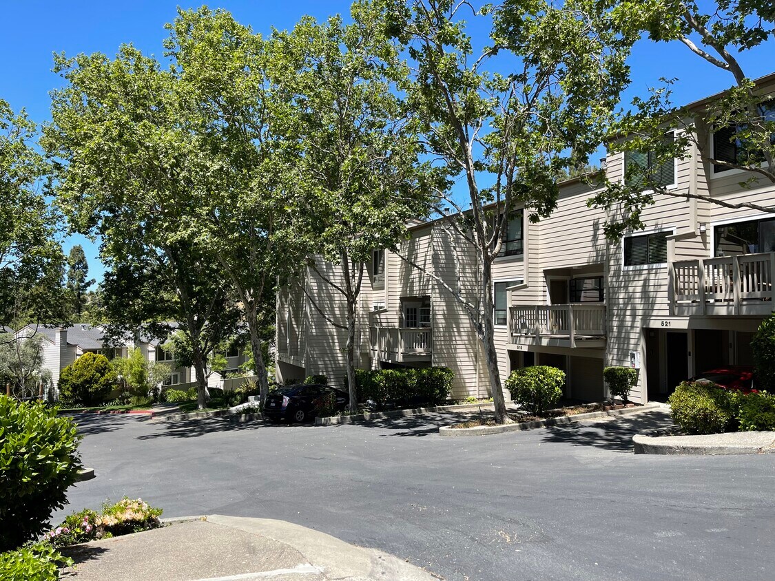 515 Woodminster Dr, Moraga, CA 94556 Townhome Rentals in Moraga CA