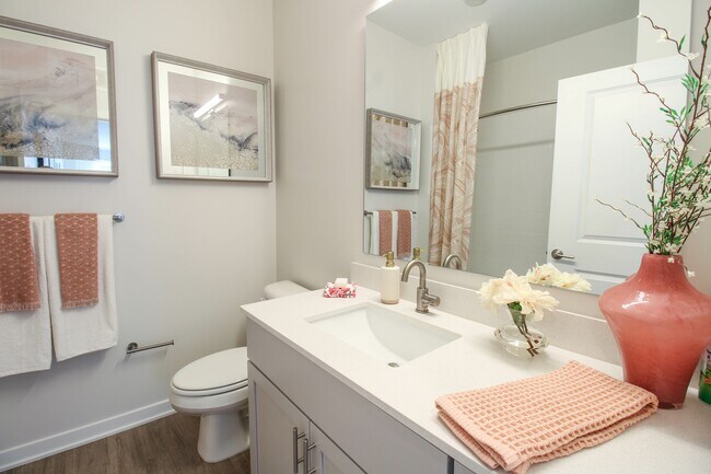 Baño de la matriz - Array