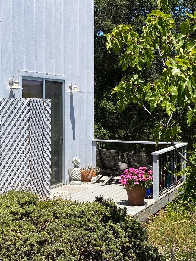 Building Photo - 1738 Lytton Springs Rd