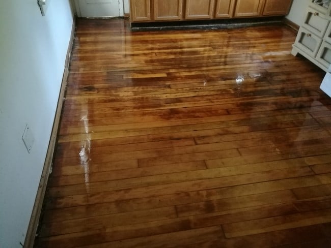 Restored hardwood floor - 1133 E Kane Pl