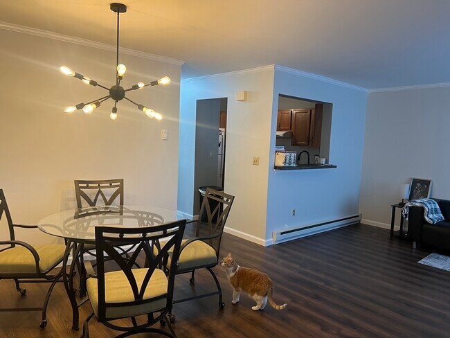 Foto del edificio - 23 Willow Springs