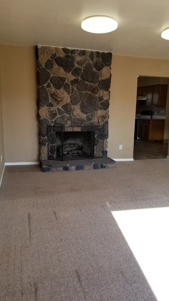 Gas Fireplace - 1055 SW Queen Ave