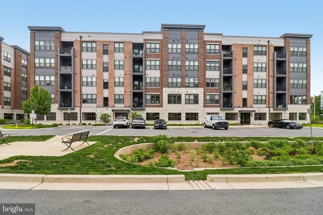 Building Photo - 3503 Bellflower Ln
