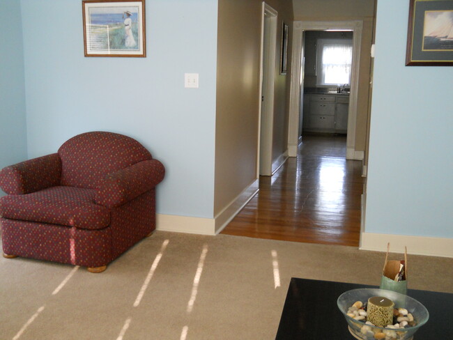 Living room/hallway - 224 N Saint Louis Blvd