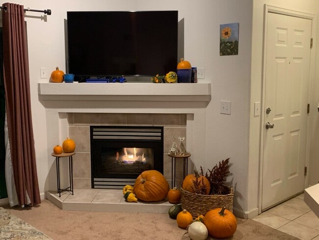 Fireplace in Living room - 4545 Wheaton Dr