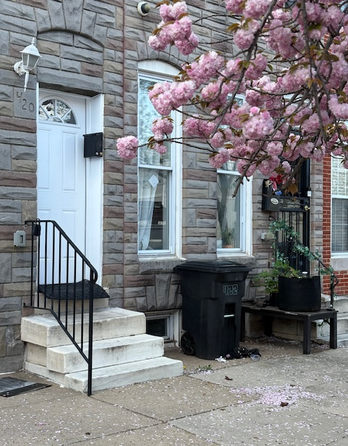 Foto del edificio - 420 N Collington Ave