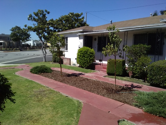 side view - 2303 W 80th St