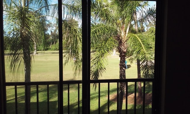 Photo - 7113 Golf Colony Ct Apartment