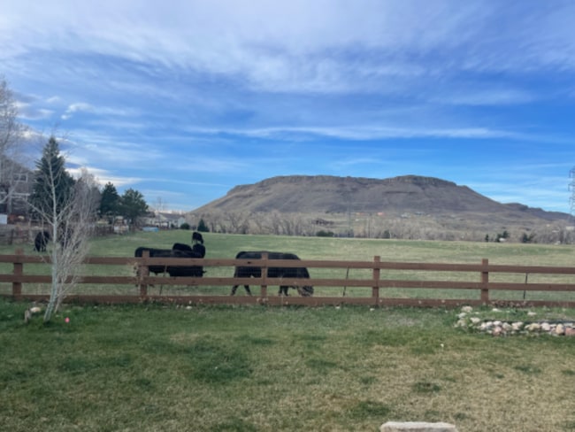 Photo - 17548 W 62nd Pl (Golden, CO) House