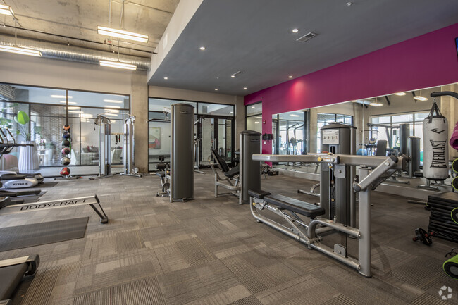 Fitness - The Avenue