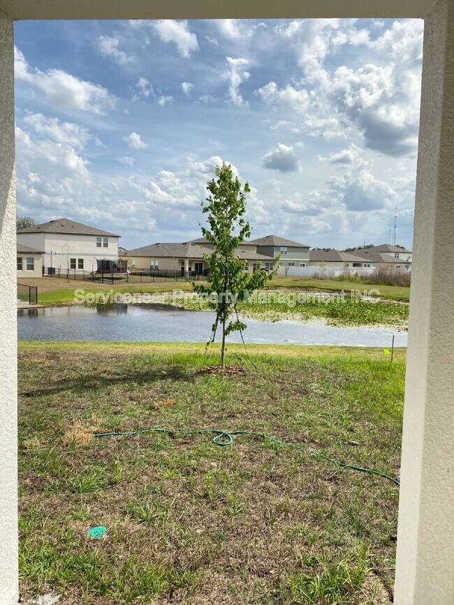 Building Photo - 35606 Buttonweed Trl