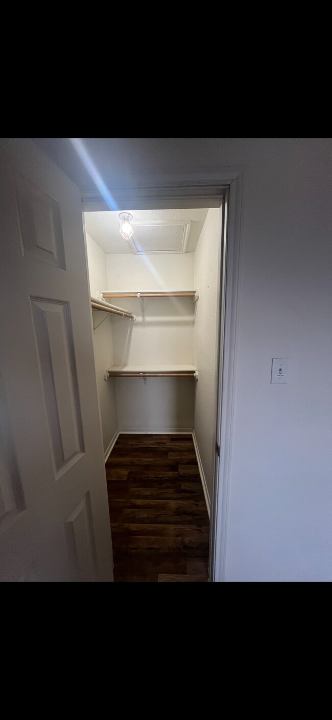 Building Photo - 3807 Littleleaf Ct