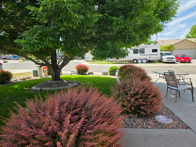 Foto del edificio - 661 Bayberry Ct
