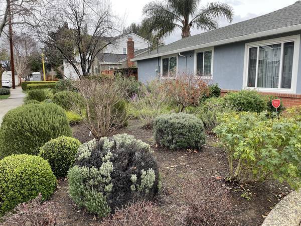 Front entry with landscaping - 2062 Newport Ave