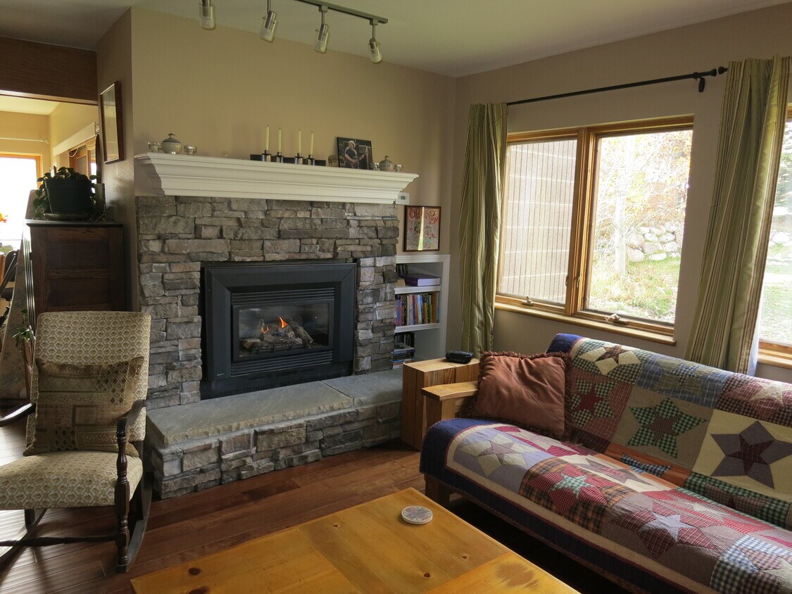 101 Blue Grouse Ln Unit D, Silverthorne, CO 80498 Condo for Rent in