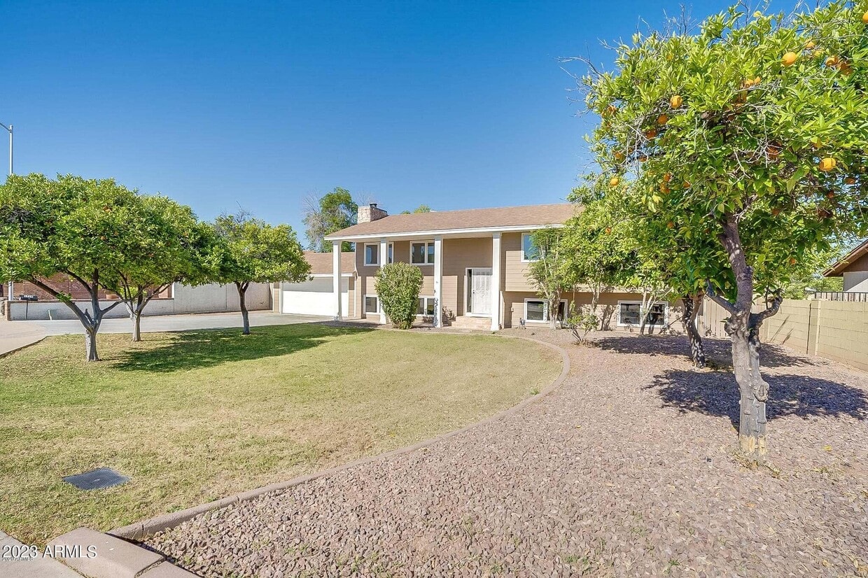 1728 N Spring Cir, Mesa, AZ 85203 House Rental in Mesa, AZ