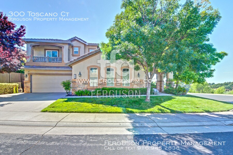 Primary Photo - 300 Toscano Ct