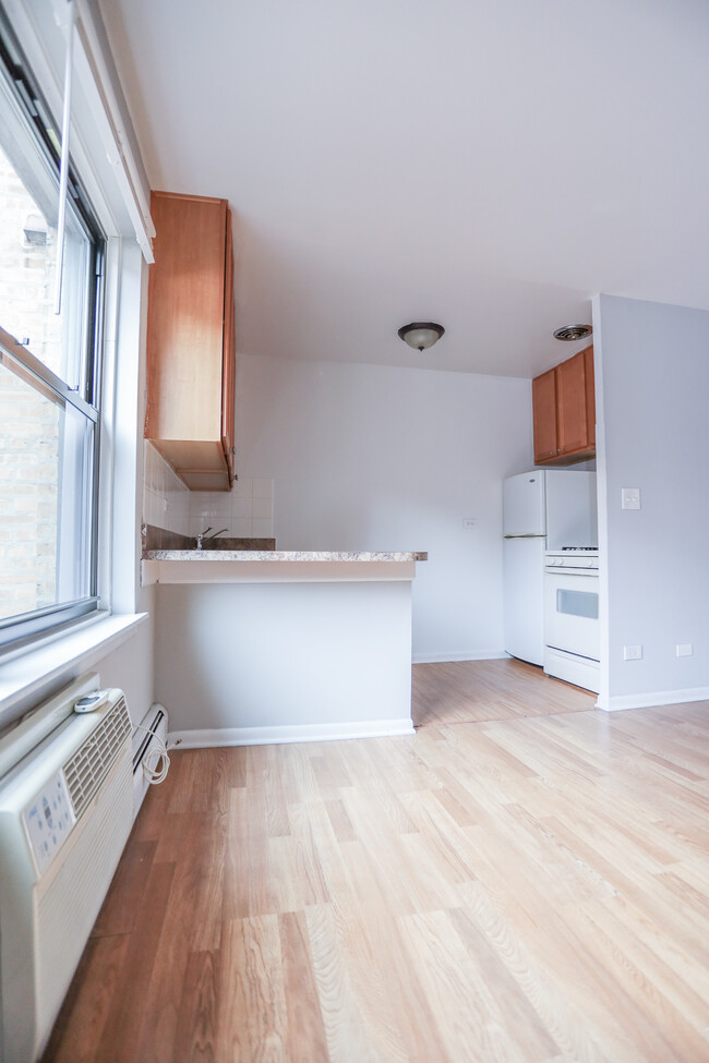Building Photo - 455 W Briar Pl
