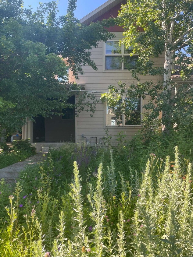 Foto principal - 1460 Juniper St