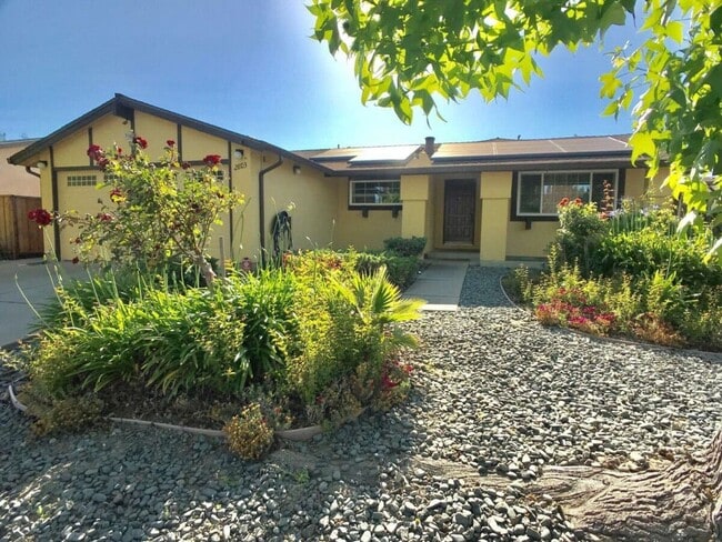 Photo - 2803 Dowe Ave House