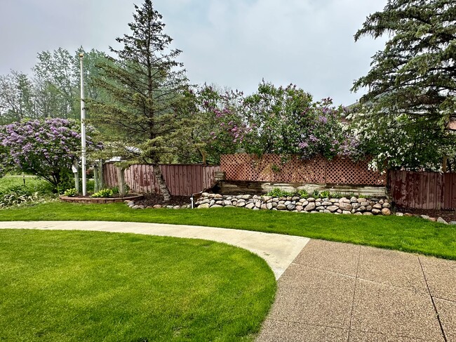 back yard area - 421 Broadway