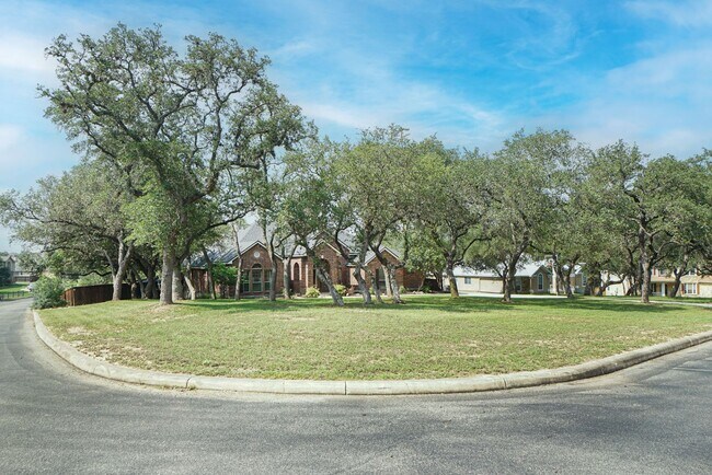 Foto del edificio - Oasis Found!