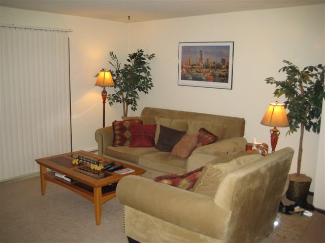 living room - 2020 Overlook Pass
