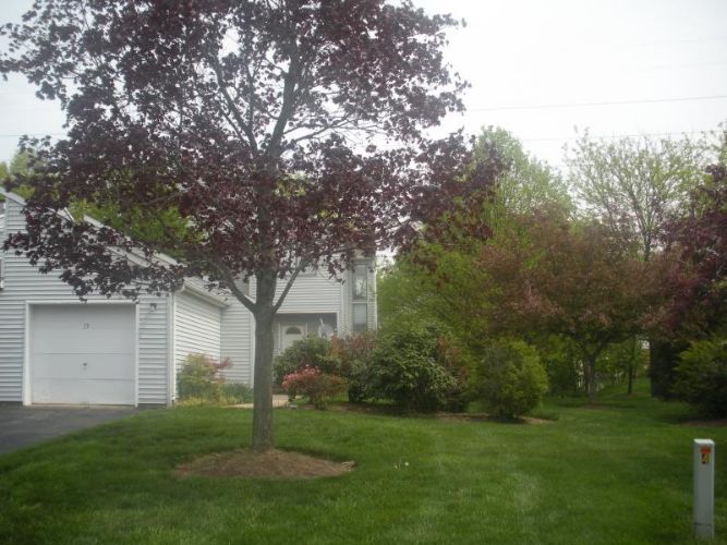 15 Krenkel Ct, Flemington, NJ 08822 Townhome Rentals in Flemington NJ