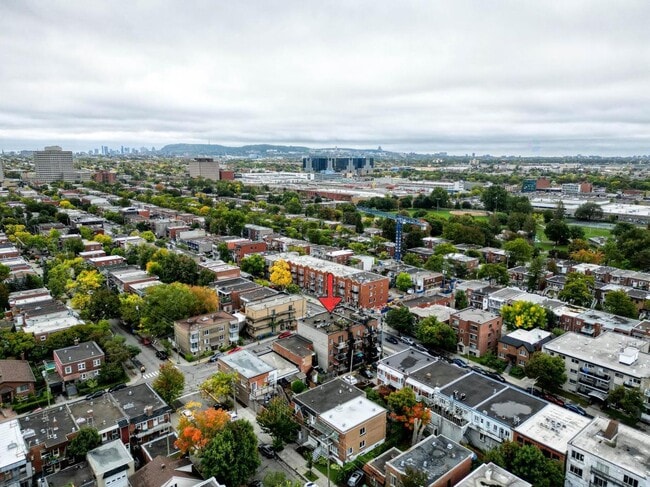 Vue du Mont Royal - 551 Rue Chabanel E