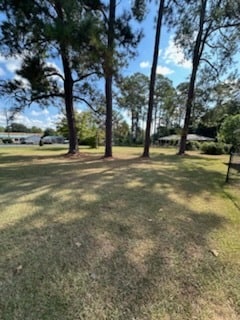 Building Photo - 102 Cornelia Dr