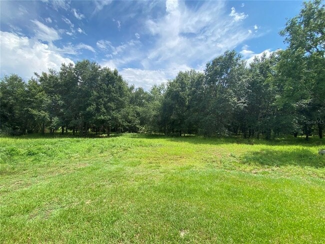 Building Photo - 31326 Tyndall Rd