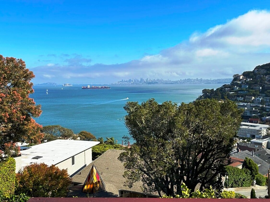 Primary Photo - Beautiful, Pet Friendly Sausalito Cottage ...