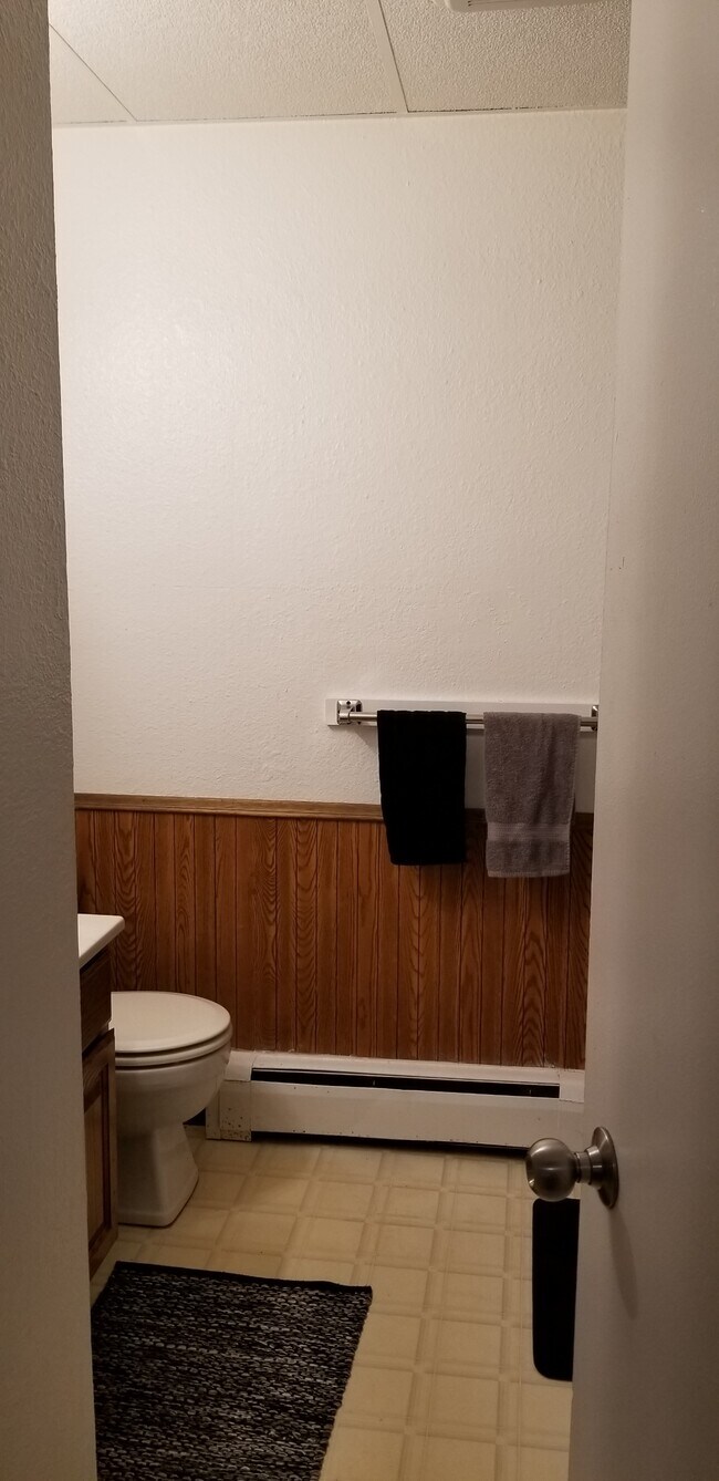 15 W Marshall St Unit 102, Rice Lake, WI 54868 Apartments in Rice