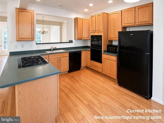 Foto del edificio - 8646 Royal Worcester Ln