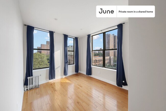 Private bedroom in 4 bed/2 bath Home - Private bedroom in 4 bed/2 bath Home