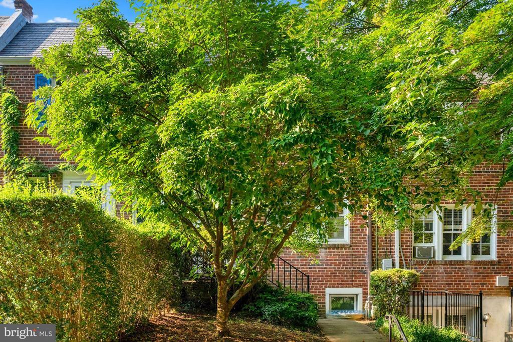 Foto principal - 3612 Whitehaven Pkwy NW
