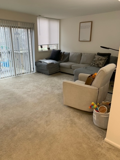 Living room - 753 W Whitehall Rd