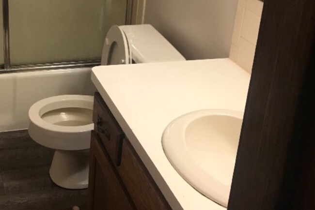 Bathroom - 733 Griffith Dr