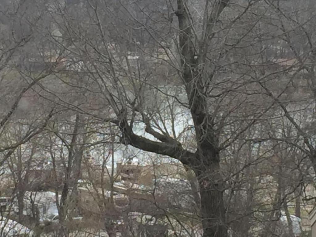 Winter Lake Views - 118 W Hensley St