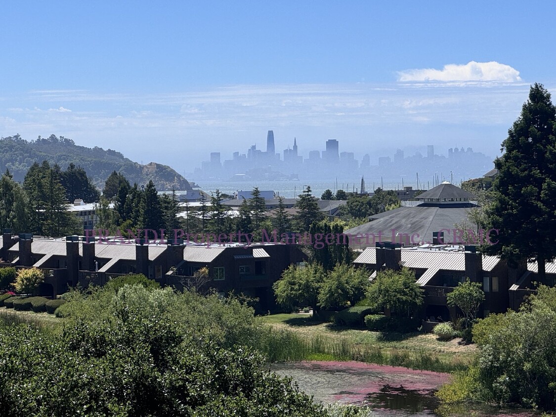 Primary Photo - Beautiful SF Views From This 2Br Tiburon A...
