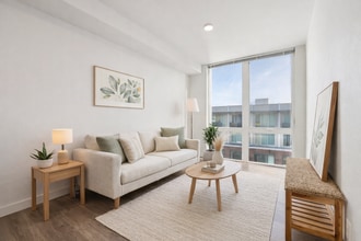 Interior Photo - NIWA