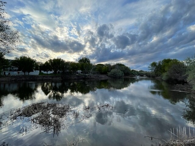 Foto del edificio - 1207 Torwood Ct