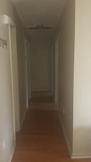 Building Photo - Newly Remodeled!