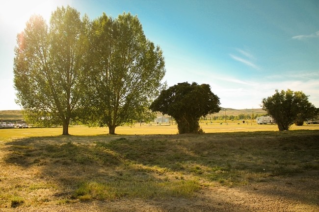 Building Photo - Foothills Mobile Home Community